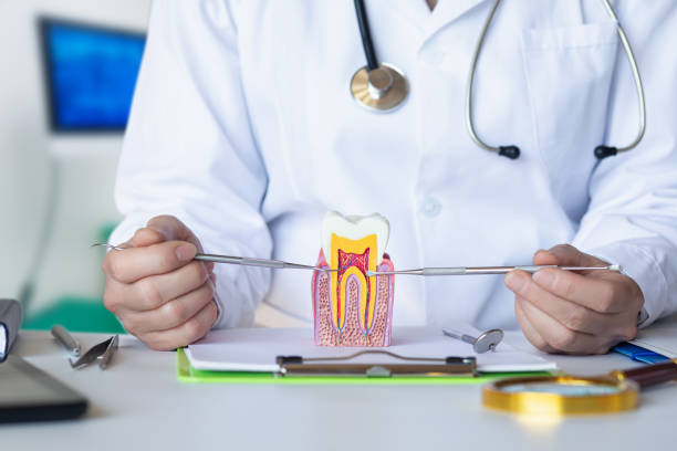 Best Emergency Denture Repair in Ridgebury, CT